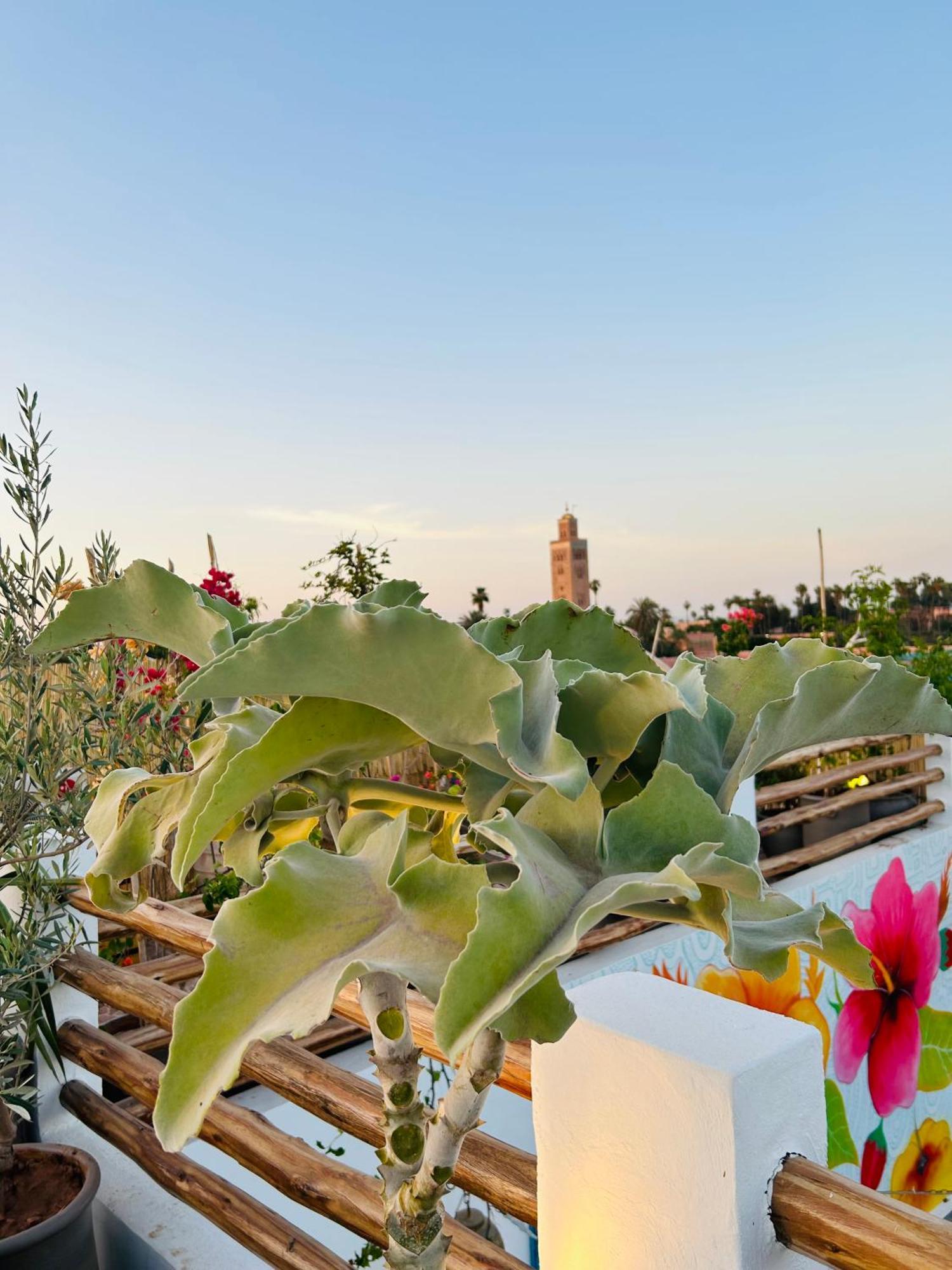 Riad Tsar Mimoun Марракеш Экстерьер фото